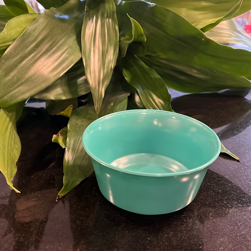 Rare Hazel Atlas Ovide Cereal Bowl - Color Forest Green